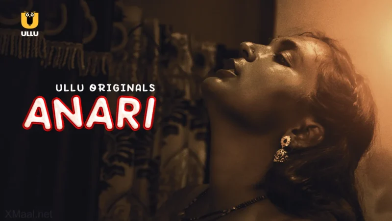 Anari Web Series Poster