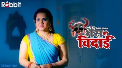 Bhais Ki Vidai Web Series Poster