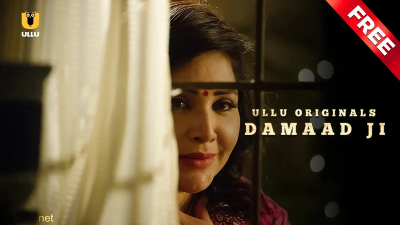 Damaad Ji S1 Web Series Poster