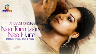 Naa Tum Jaano Naa Hum Web Series Poster