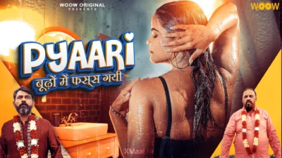 Pyaari Budhon Mein Fass Gyi Web Series Poster